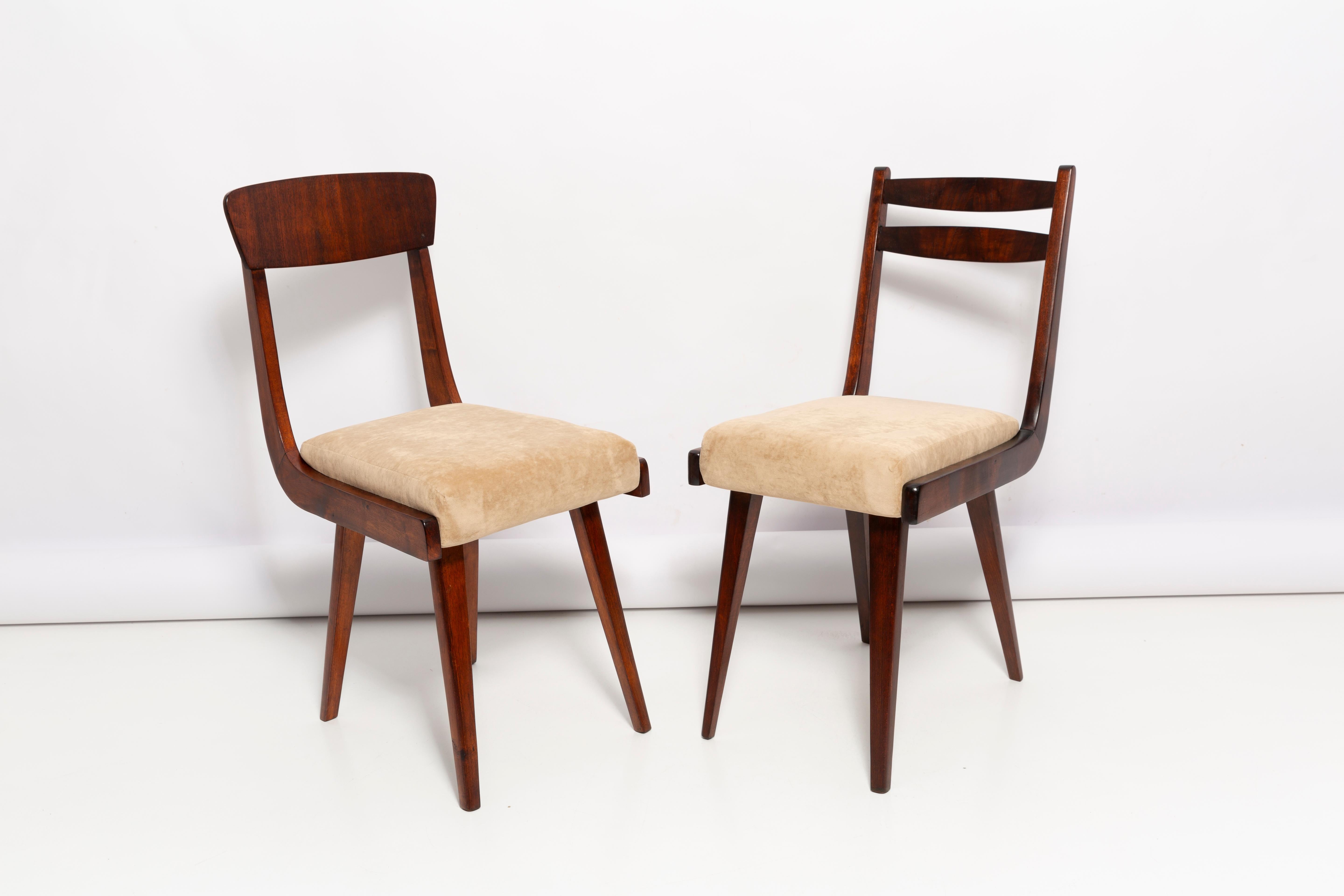 Set of Four Mid Century Gazelle Beige Wood Chairs, Europe, 1960s For Sale 1