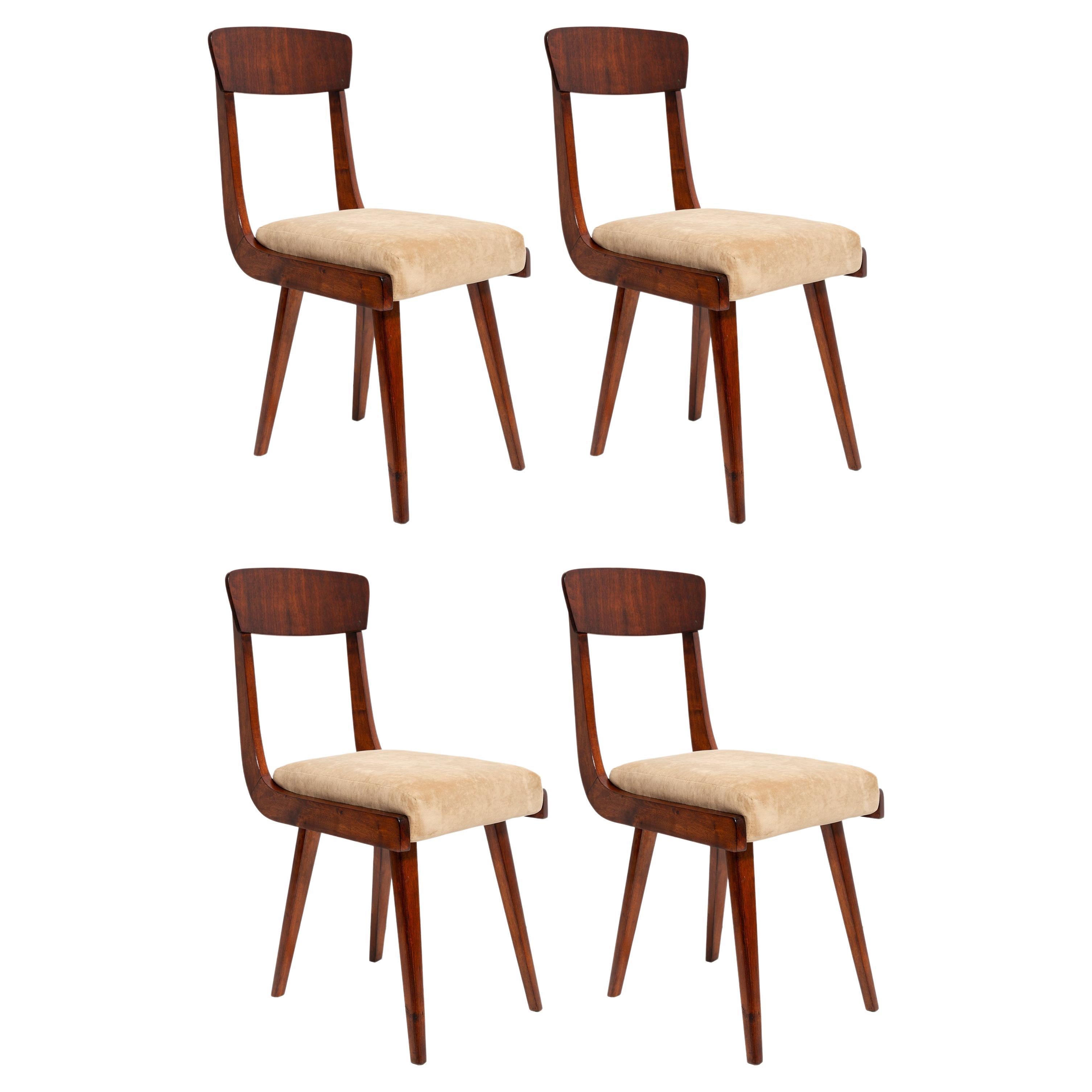 Set of Four Mid Century Gazelle Beige Wood Chairs, Europe, 1960s For Sale