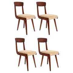 Set of Four Mid Century Gazelle Beige Wood Chairs, Europe, 1960s