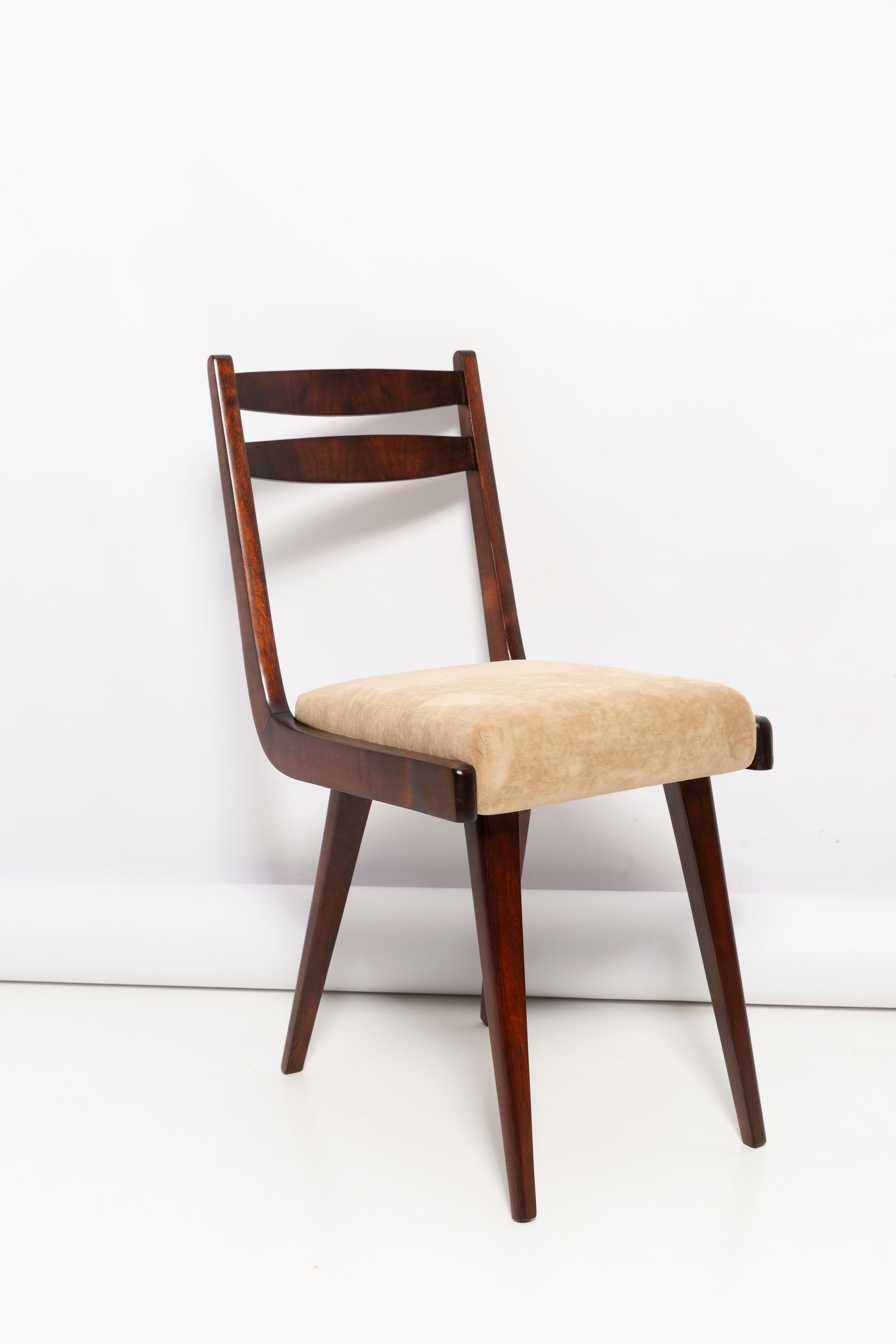 Chairs designed by prof. Rajmund Halas. They have been made of beechwood. They have undergone a complete upholstery renovation, the woodwork has been refreshed. Seats were dressed in beige soft velvet. They are stabile and very shapely. Chairs were