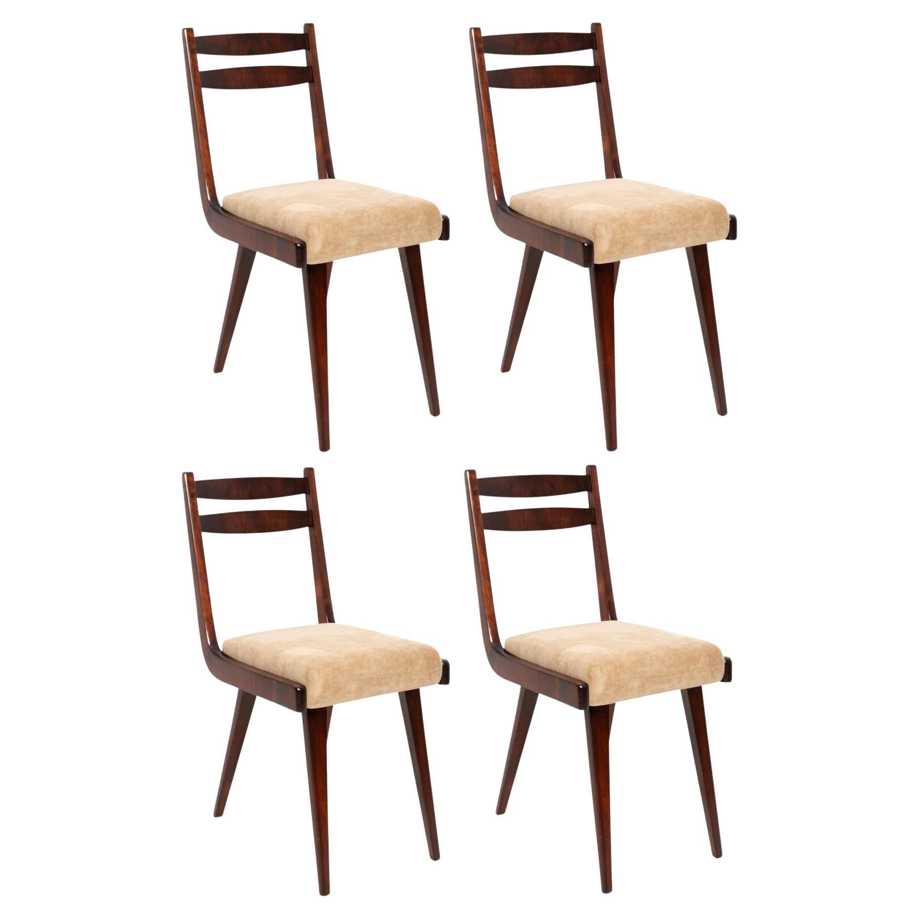 Set of Four Mid-Century Gazelle II Beige Wood Chairs, Europe, 1960s For Sale