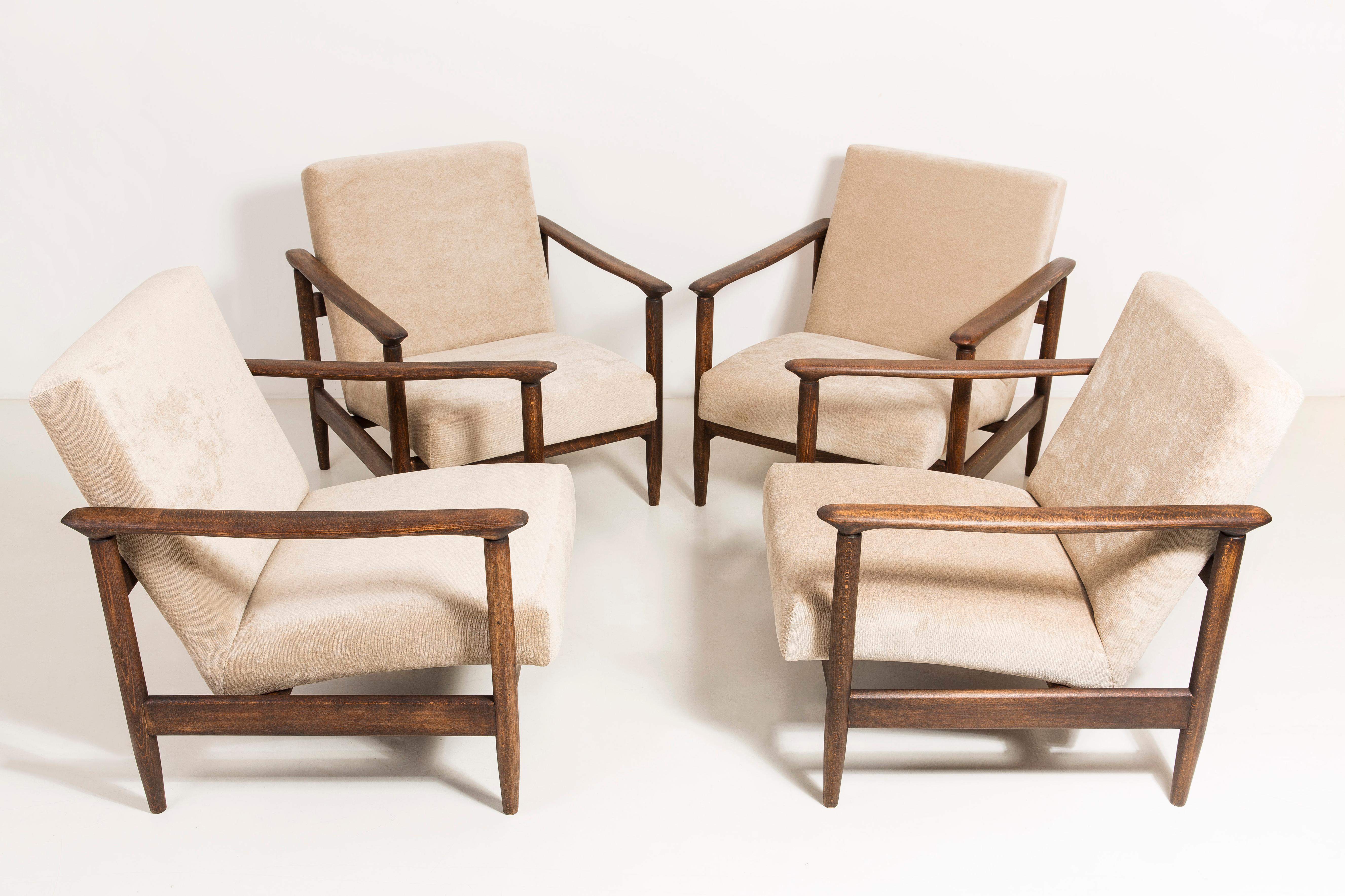 Set of four armchairs GFM-142, designed by Edmund Homa. The armchairs were made in the 1960s in the Gosciecinska Furniture Factory. They are made from solid beechwood. The GFM-142 armchair is regarded one of the best polish armchair design from the