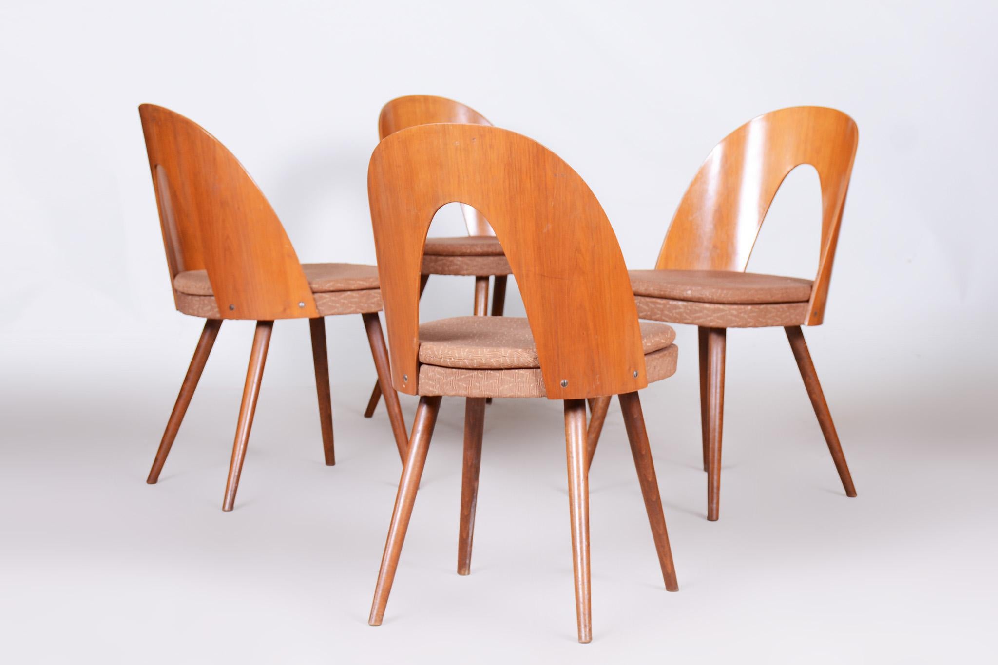Ensemble de quatre chaises modernes du milieu du siècle fabriquées en Tchèque dans les années 1950 par Antonn uman en vente 4