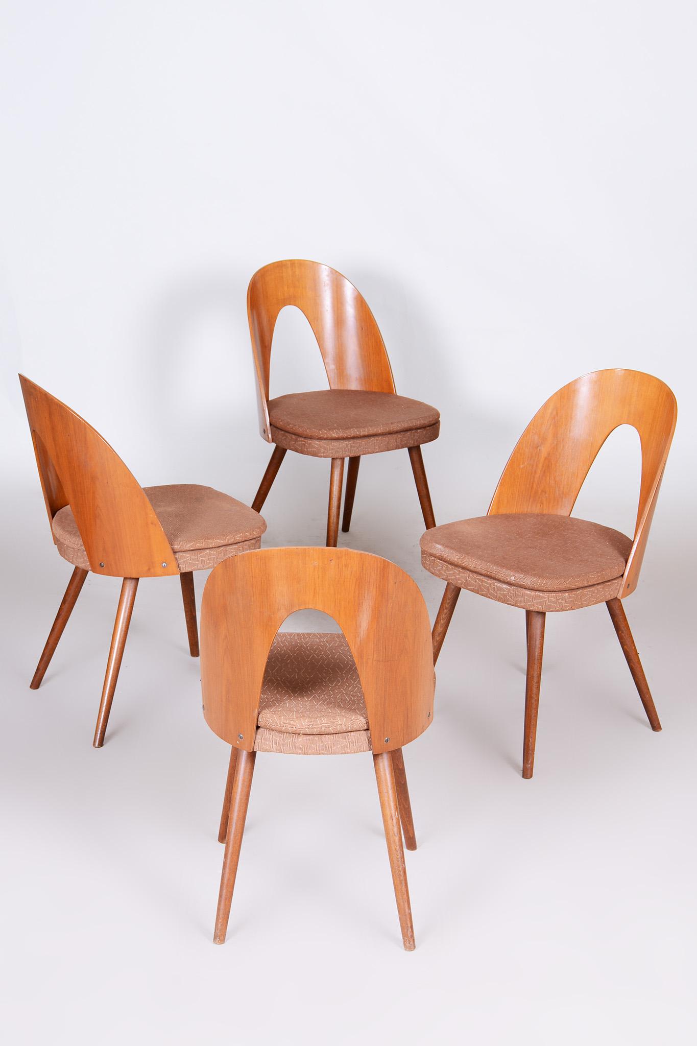 Ensemble de quatre chaises modernes du milieu du siècle fabriquées en Tchèque dans les années 1950 par Antonn uman en vente 5