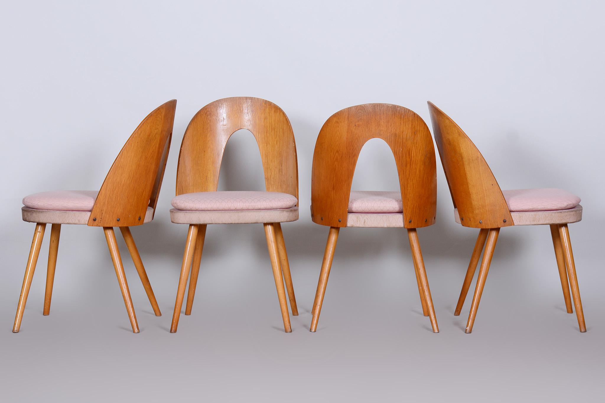 Set of Four Mid-Century Modern Chairs Made in 1950s Czechia by Antonín Šuman In Good Condition In Horomerice, CZ