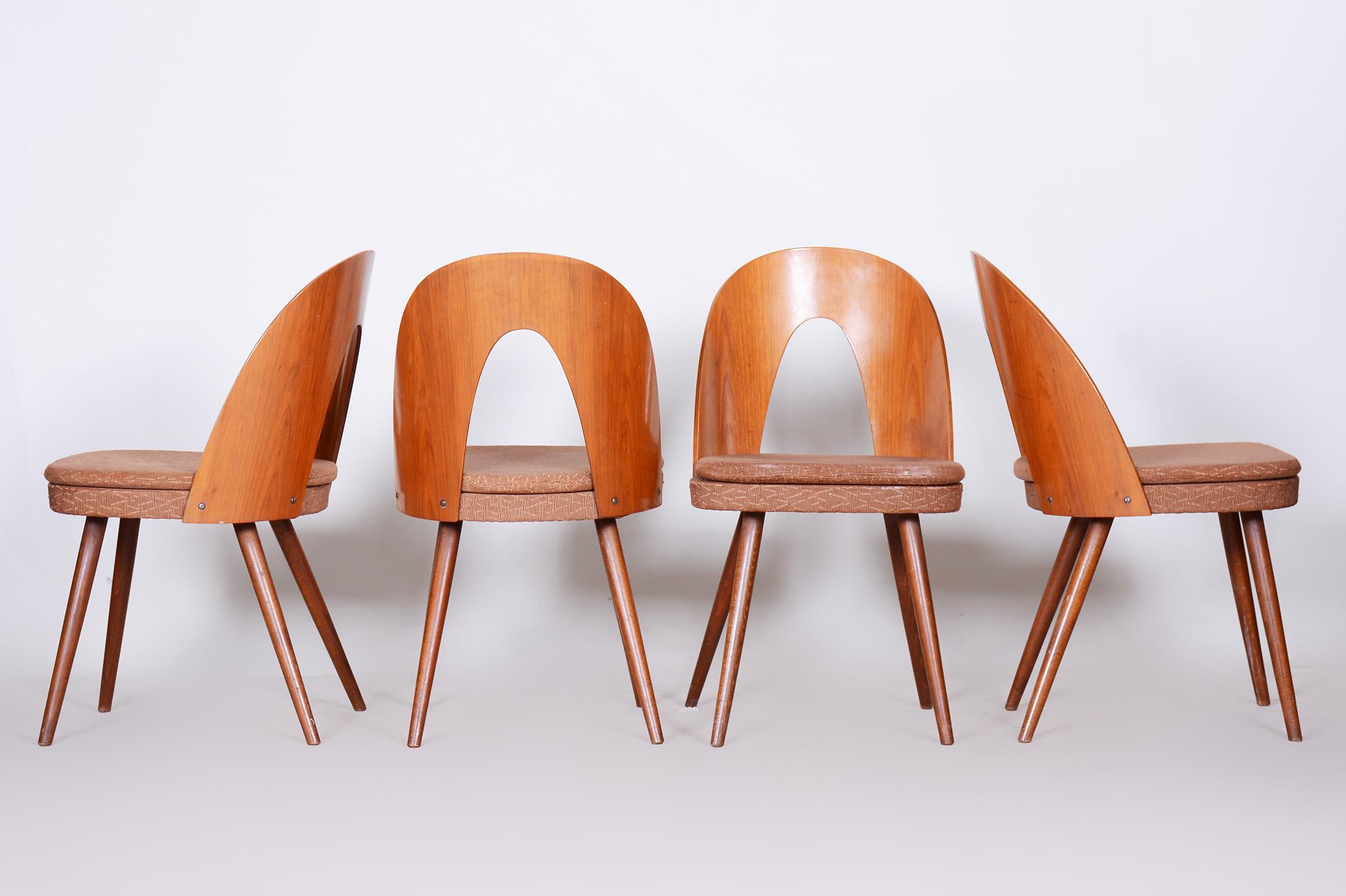 Set of Four Mid-Century Modern Chairs Made in 1950s Czechia by Antonín Šuman In Good Condition For Sale In Horomerice, CZ