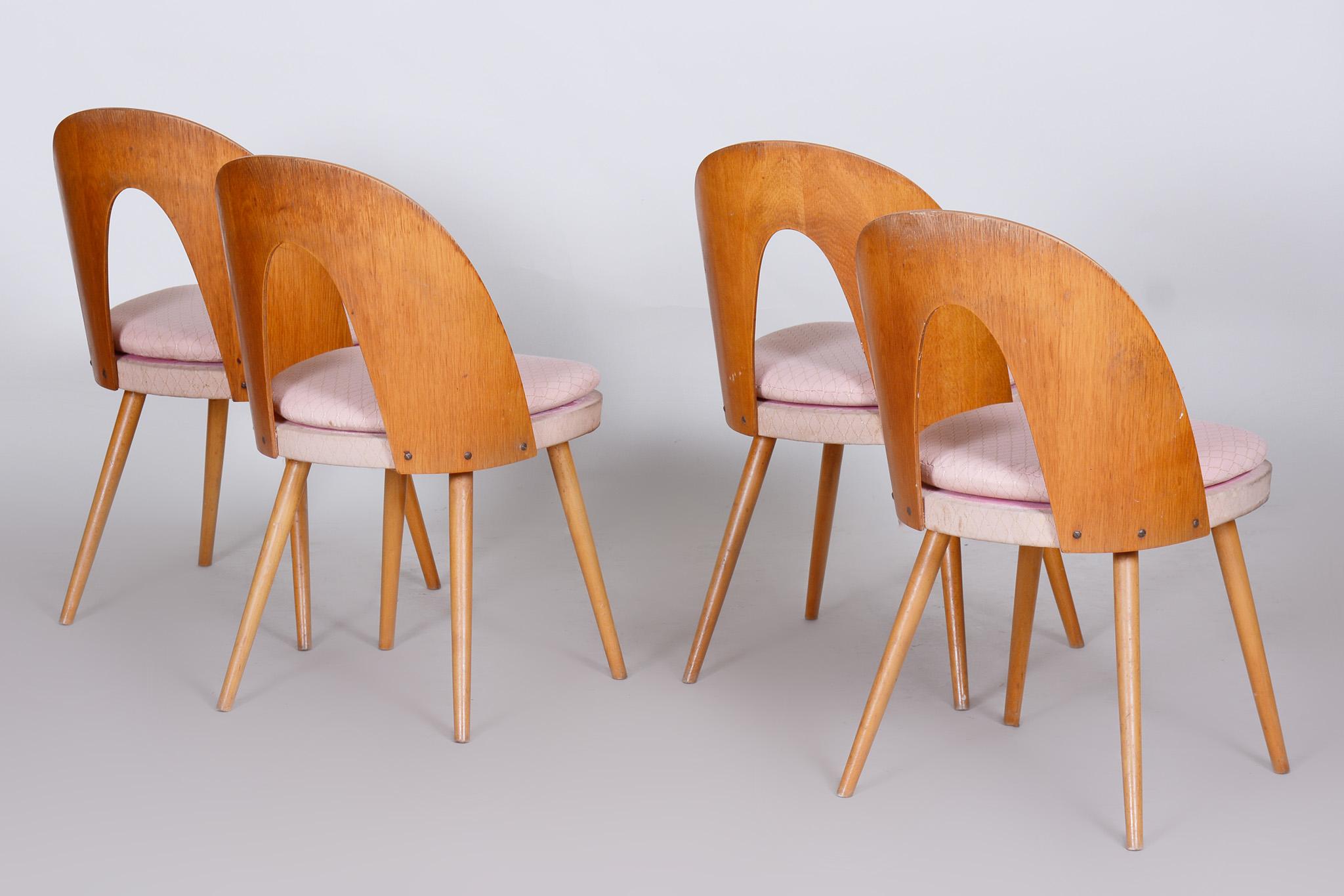 Set of Four Mid-Century Modern Chairs Made in 1950s Czechia by Antonín Šuman 1