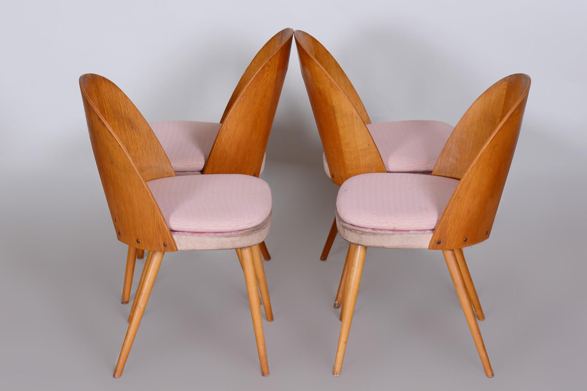 Set of Four Mid-Century Modern Chairs Made in 1950s Czechia by Antonín Šuman 2