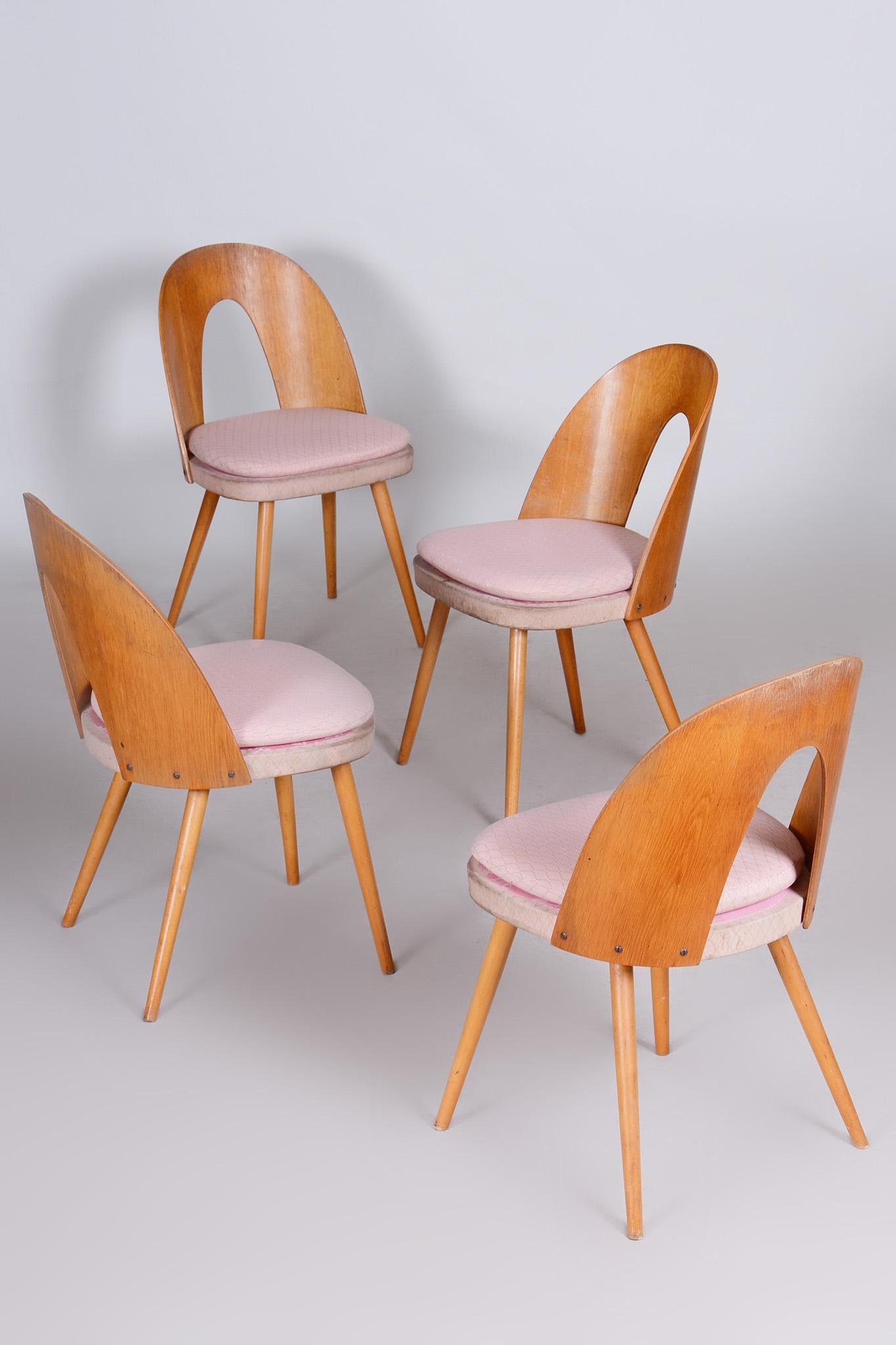 Set of Four Mid-Century Modern Chairs Made in 1950s Czechia by Antonín Šuman 3