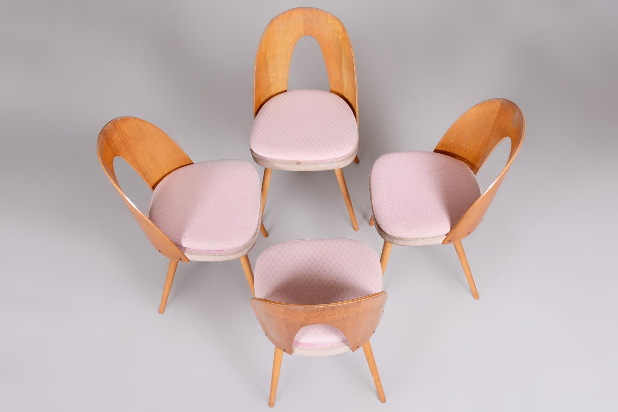 Set of Four Mid-Century Modern Chairs Made in 1950s Czechia by Antonín Šuman 4
