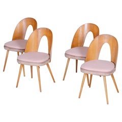 Set of Four Mid-Century Modern Chairs Made in 1950s Czechia by Antonín Šuman