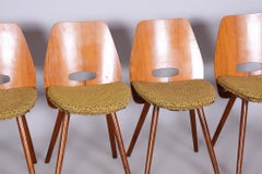 Set of Four Midcentury Walnut Chairs, Frantisek Jirak, Tatra, Czechia, 1950s