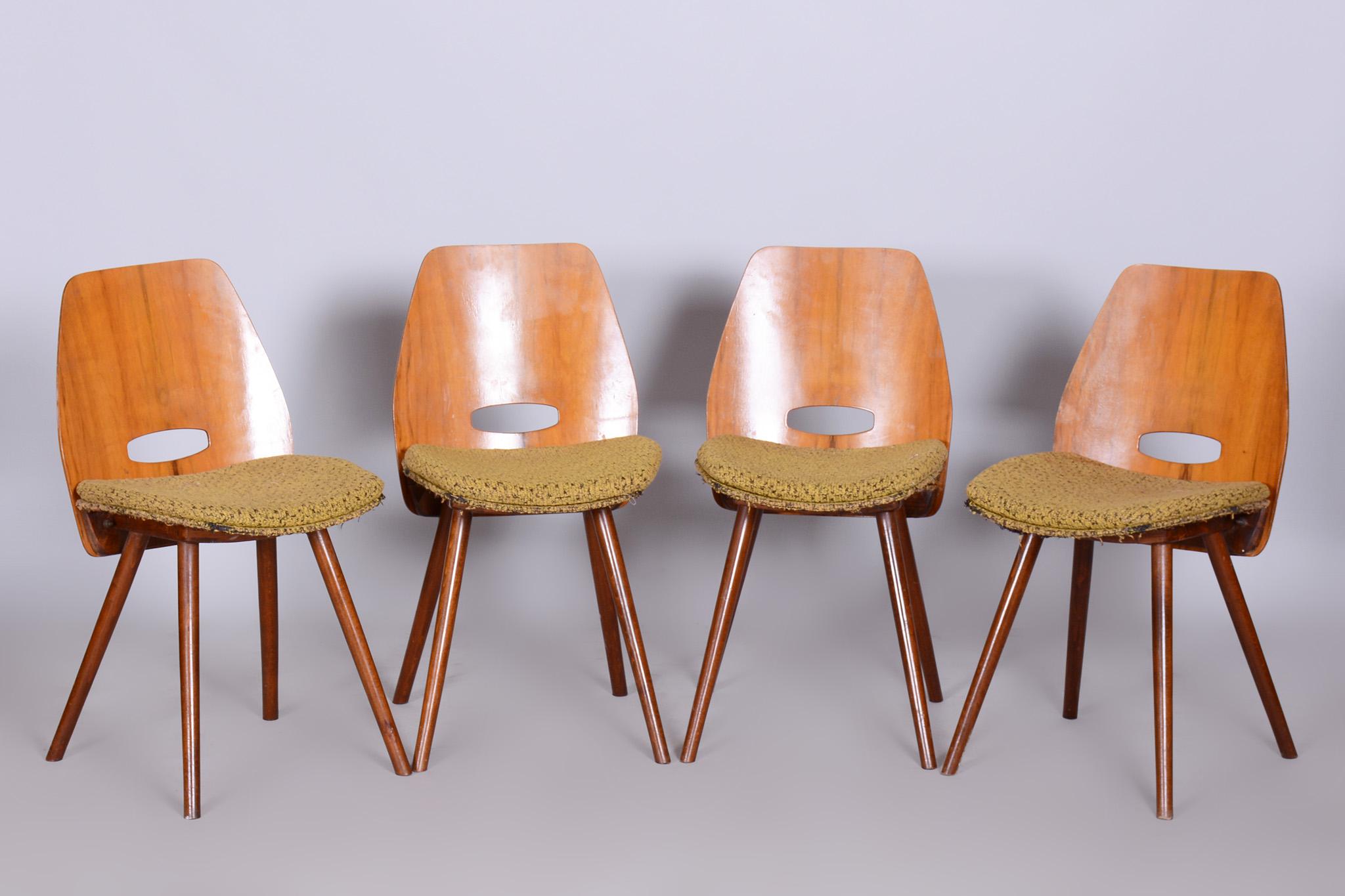Satz von vier Stühlen aus Nussbaumholz aus der Mitte des Jahrhunderts, Frantisek Jirak, Tatra, Tschechische Republik, 1950er Jahre (20. Jahrhundert) im Angebot