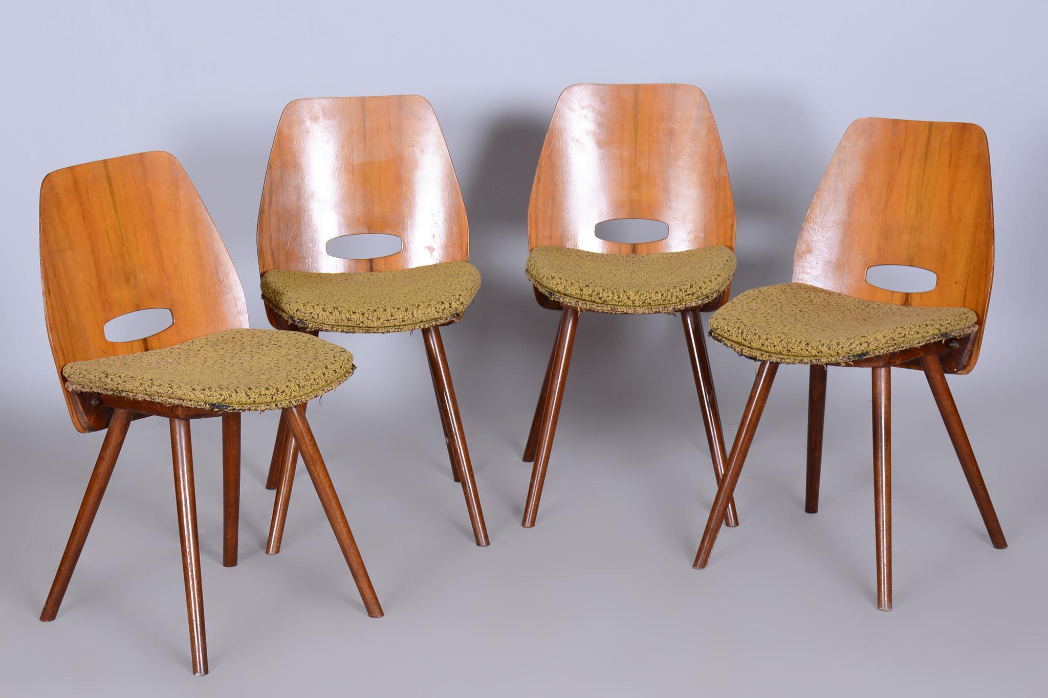Satz von vier Stühlen aus Nussbaumholz aus der Mitte des Jahrhunderts, Frantisek Jirak, Tatra, Tschechische Republik, 1950er Jahre im Angebot 1