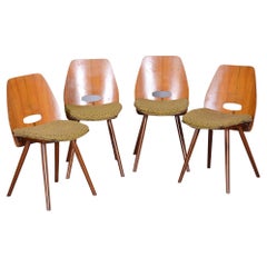 Satz von vier Stühlen aus Nussbaumholz aus der Mitte des Jahrhunderts, Frantisek Jirak, Tatra, Tschechische Republik, 1950er Jahre