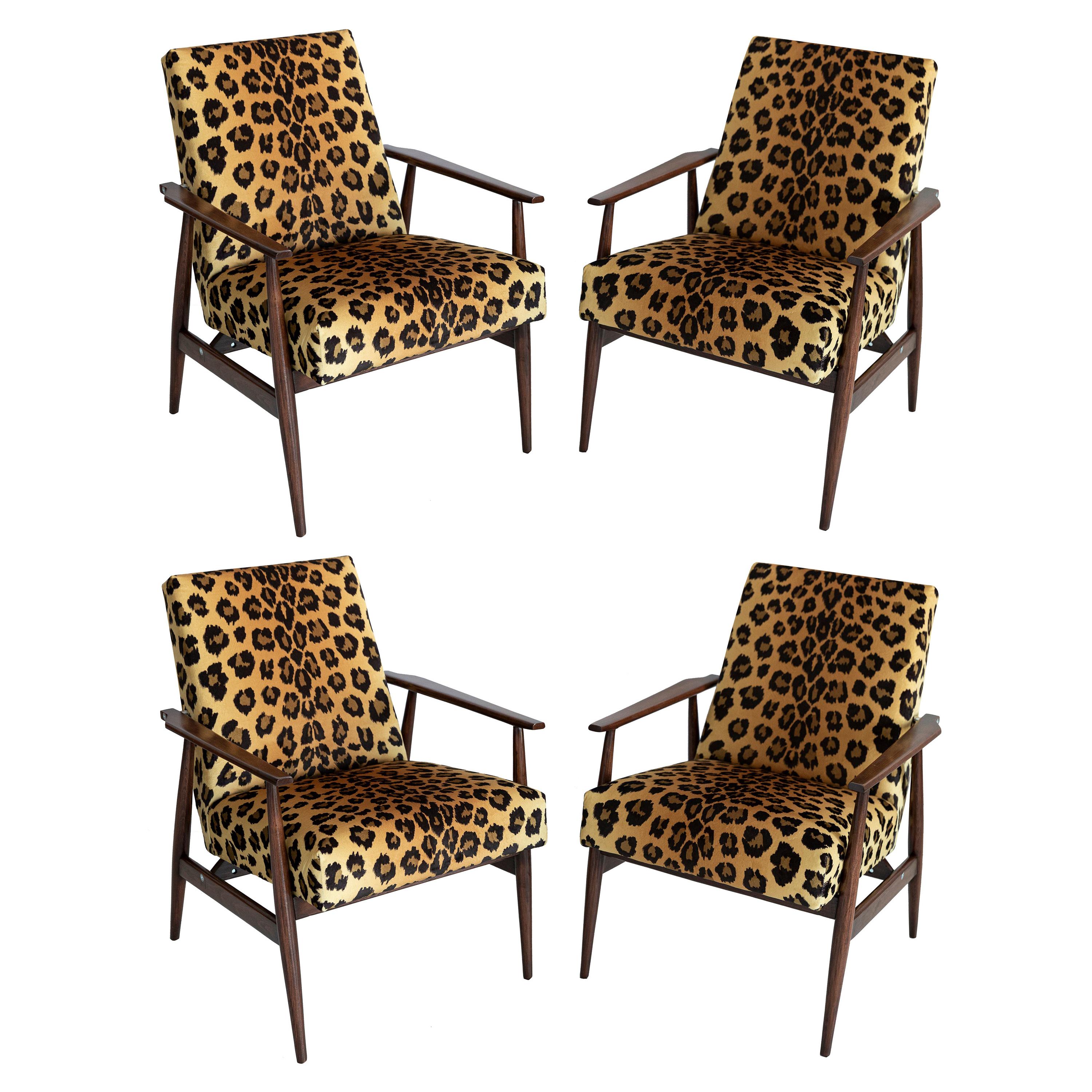 Set of Four Midcentury Leopard Print Velvet Dante Armchairs, H. Lis, 1960s