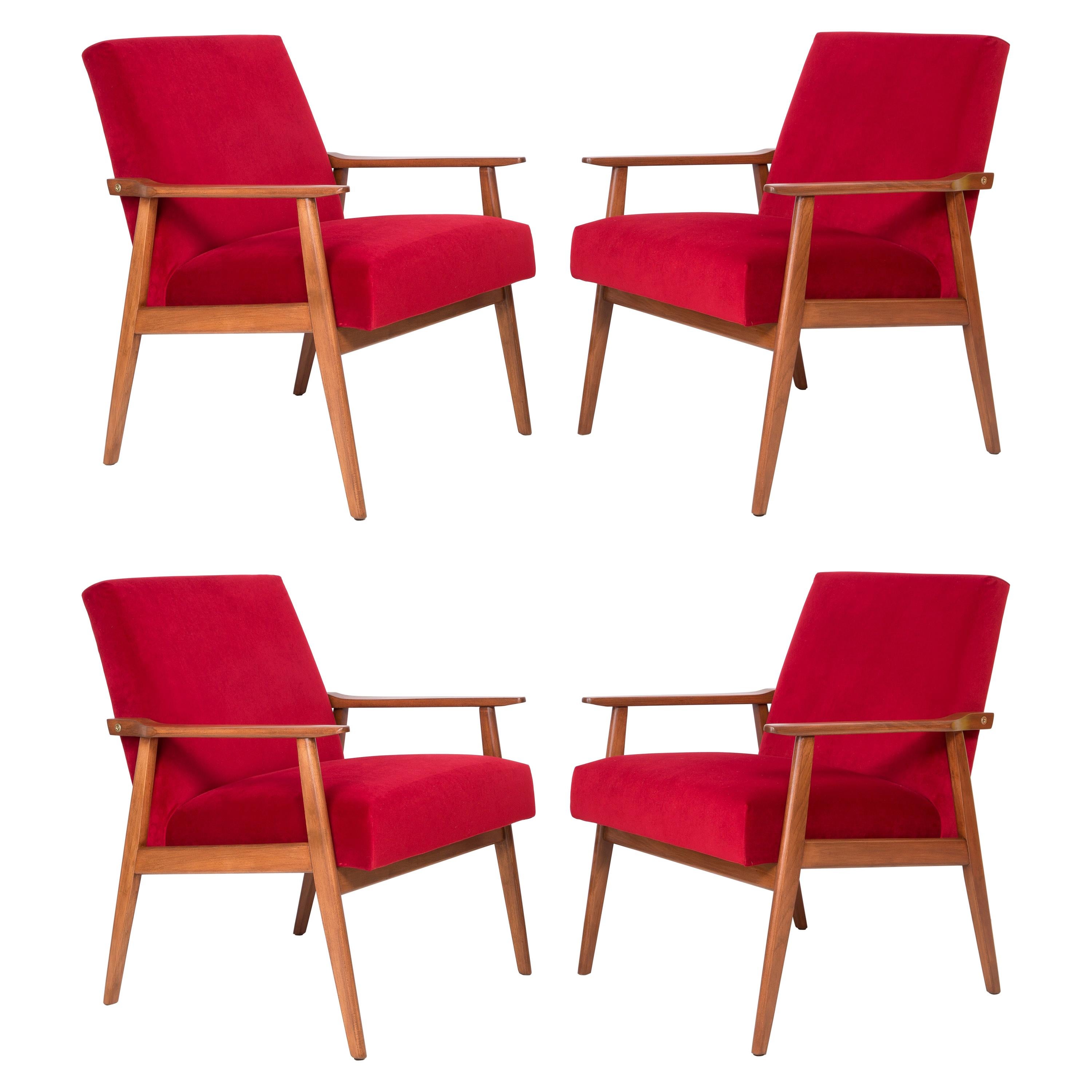 Set of Four Midcentury Red Velvet Dante Armchairs, Europe, 1960s