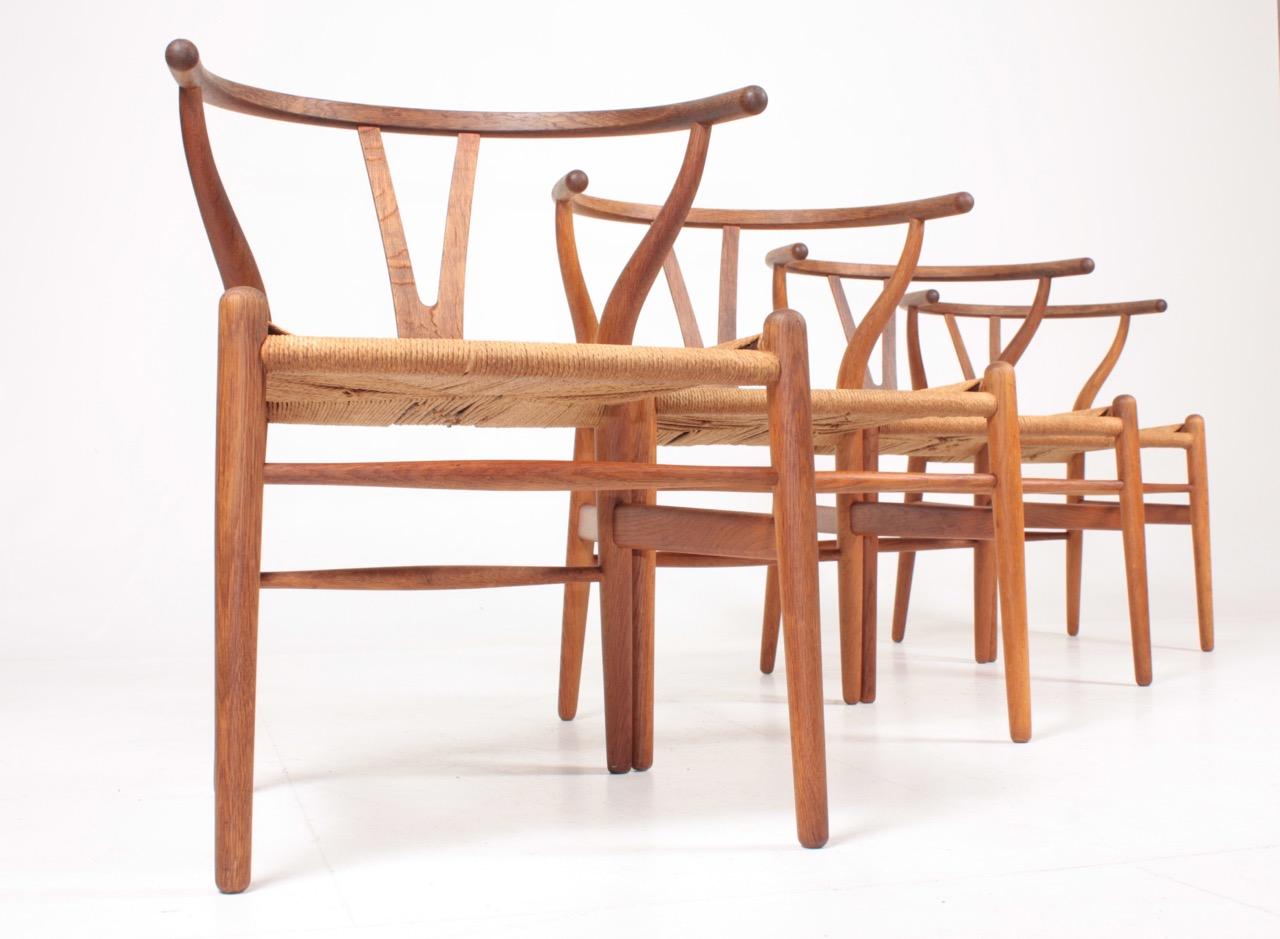 Set of Four Midcentury Wishbone Chairs in Patinated Oak by Hans Wegner, 1960s In Good Condition In Lejre, DK