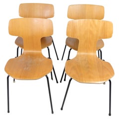 Set di quattro sedie, modello 3103, 'T-Chair', di Arne Jacobsen Oak, Fritz Hansen anni '60