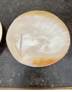 Set of Four Mother of Pearl Shell Caviar Dishes
