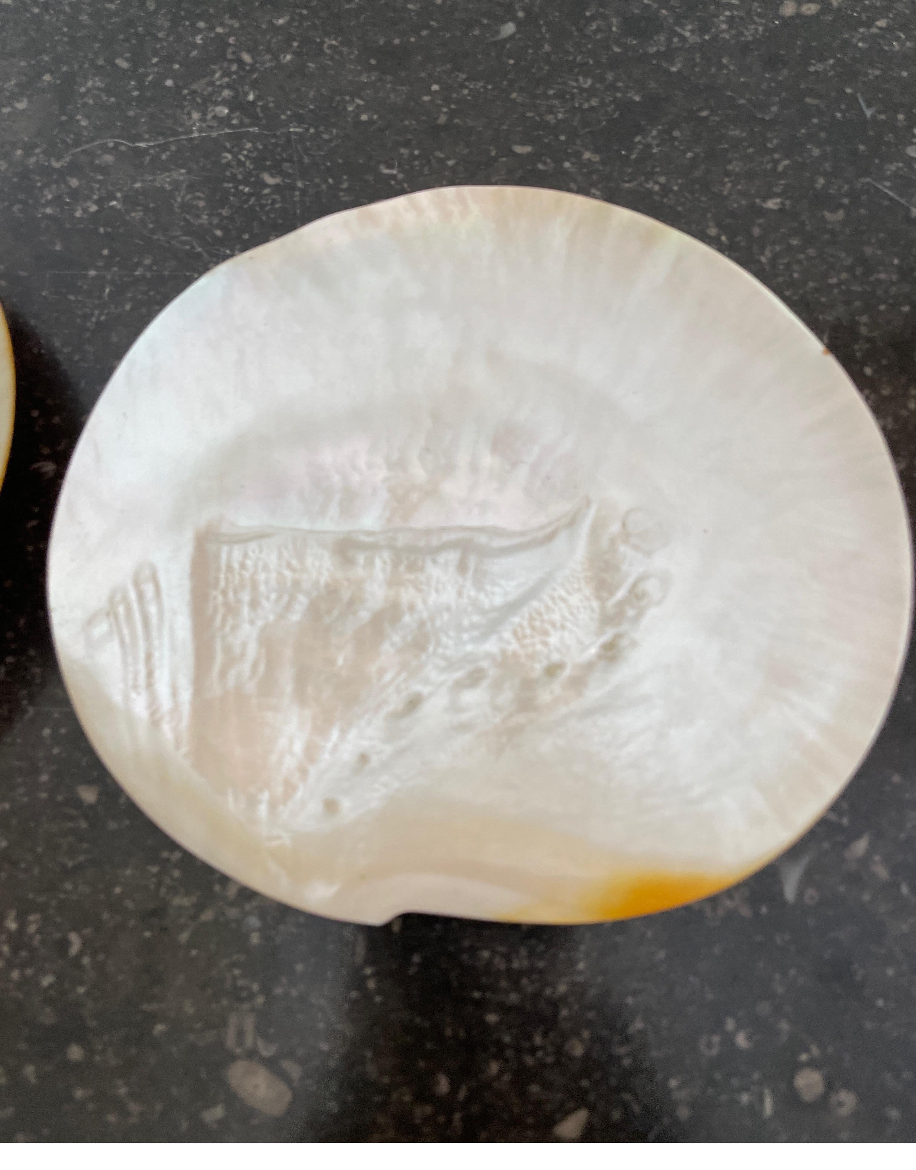 20th Century Set of Four Mother of Pearl Shell Caviar Dishes