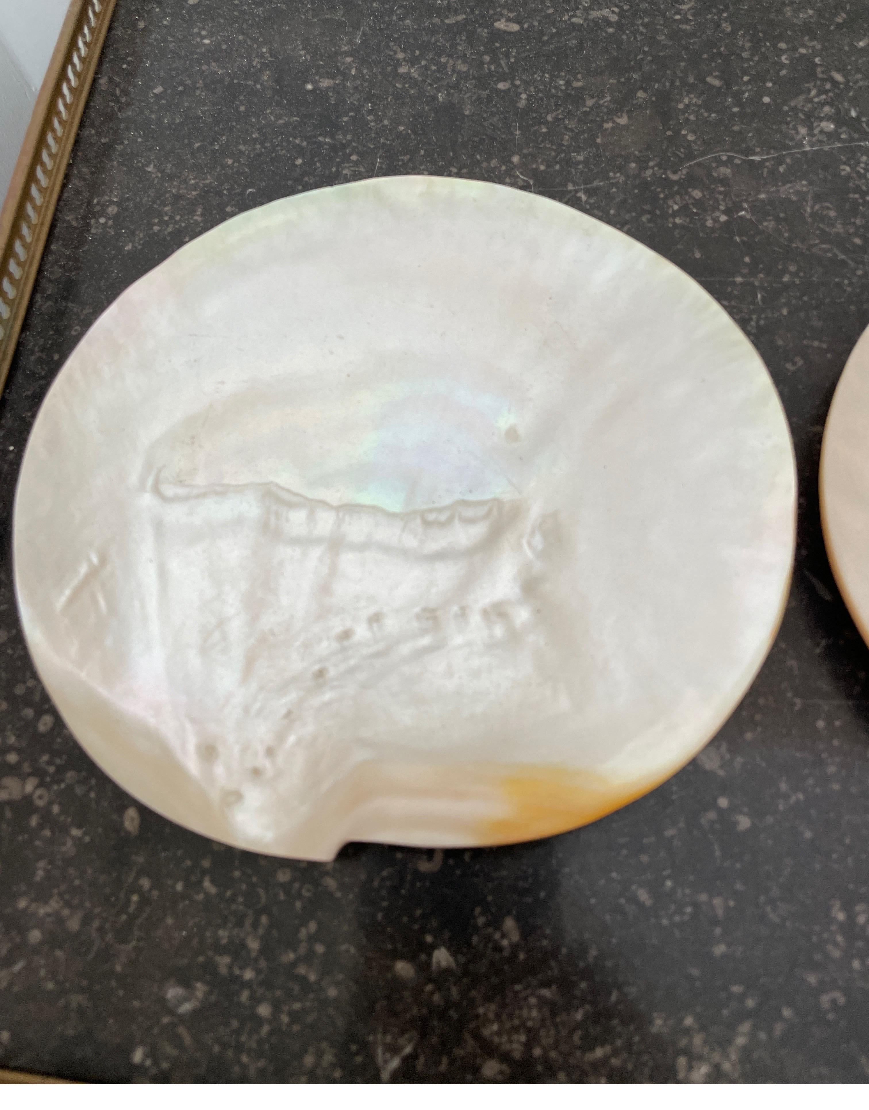 Mother-of-Pearl Set of Four Mother of Pearl Shell Caviar Dishes