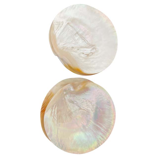Caviar Shells Set of Four Mother of Pearl Shell Caviar Dishes at 1stDibs