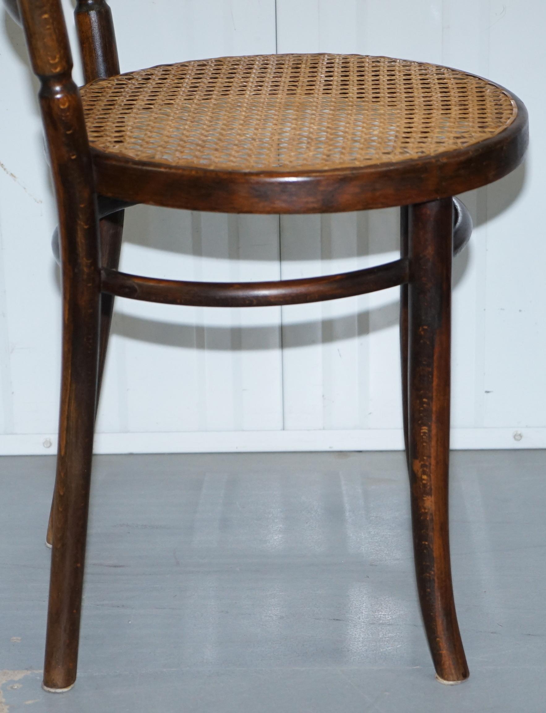 Set of Four Original circa 1880 Victorian Thonet Fiscel Dining Chairs Rattan 3