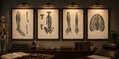 Set of Four Original French Anatomical Lithographs by Jules Cloquet, Paris, 1821