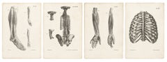 Set of Four Original French Anatomical Lithographs by Jules Cloquet, Paris, 1821