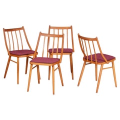 Set of Four Original Mid-Century Chairs, by Antonín Šuman, Beech, Czech, 1960s