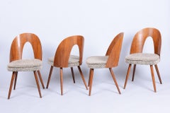 Set of Four Original Mid-Century Chairs, by Antonín Šuman, Walnut, Czech, 1950s