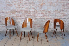 Set of Four Original Mid-Century Chairs, by Antonín Šuman, Walnut, Czech, 1950s