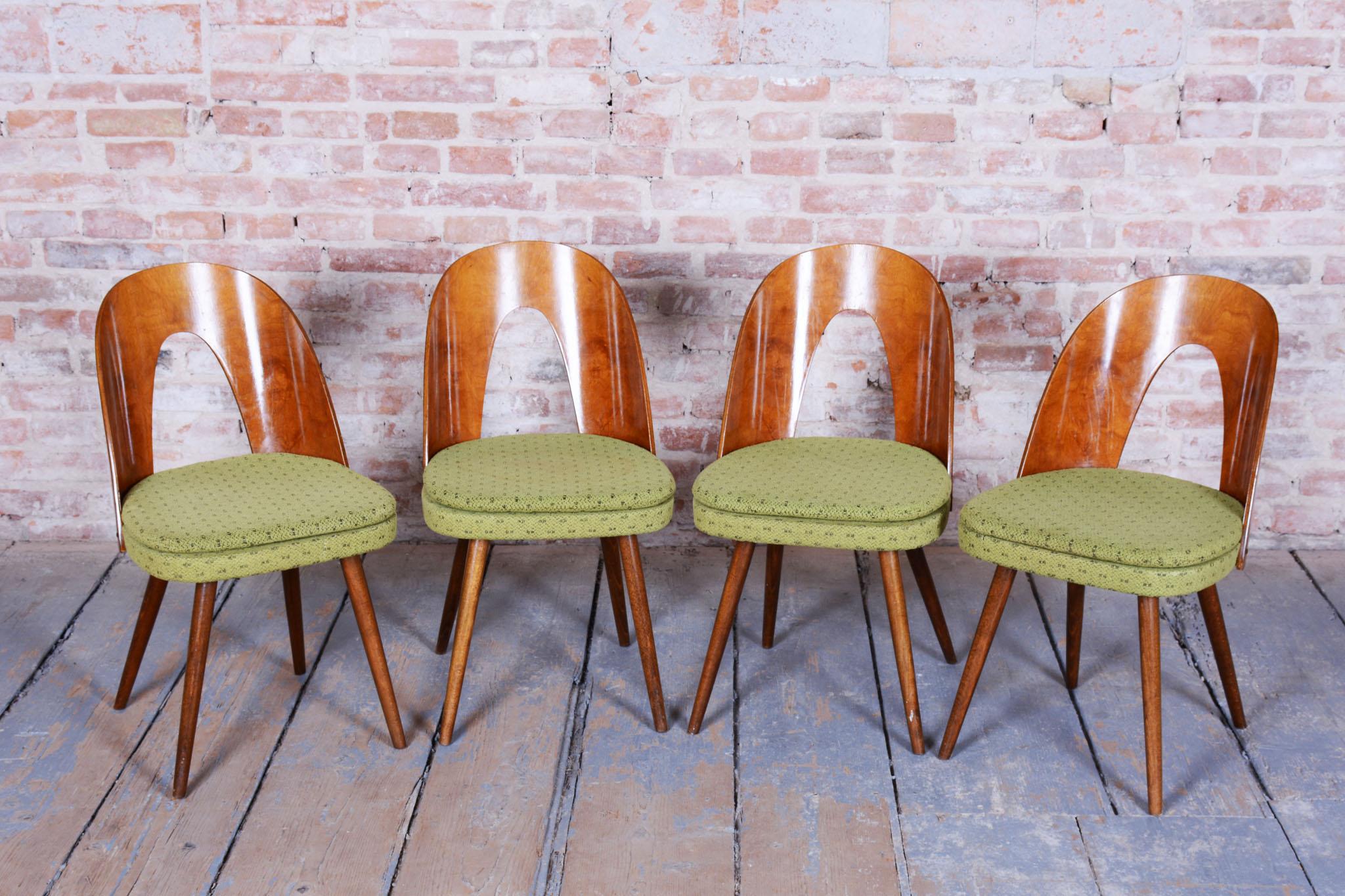 Mid-Century moderno Set di quattro sedie originali del metà secolo, di Antonín Šuman, noce, ceco, anni '50 in vendita
