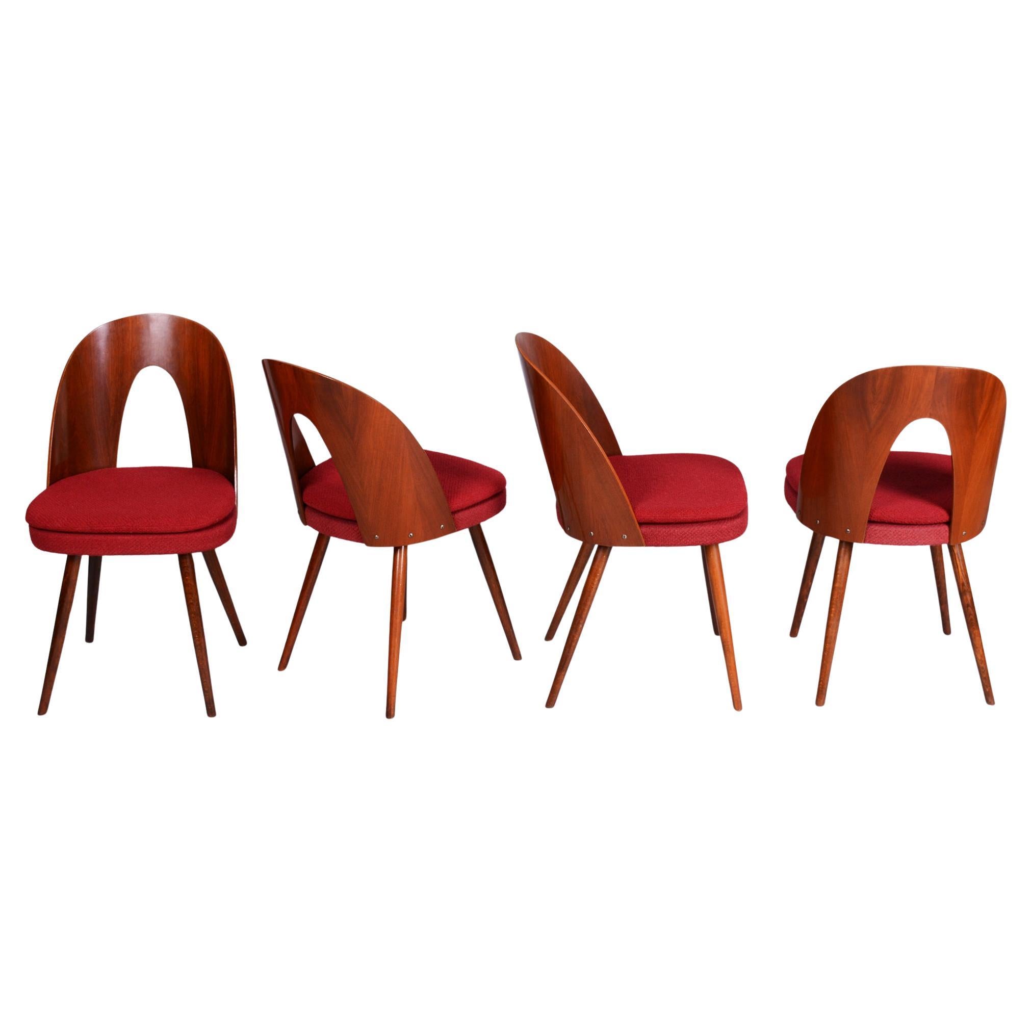 Set of Four Original Mid-Century Chairs, by Antonín Šuman, Walnut, Czech, 1950s