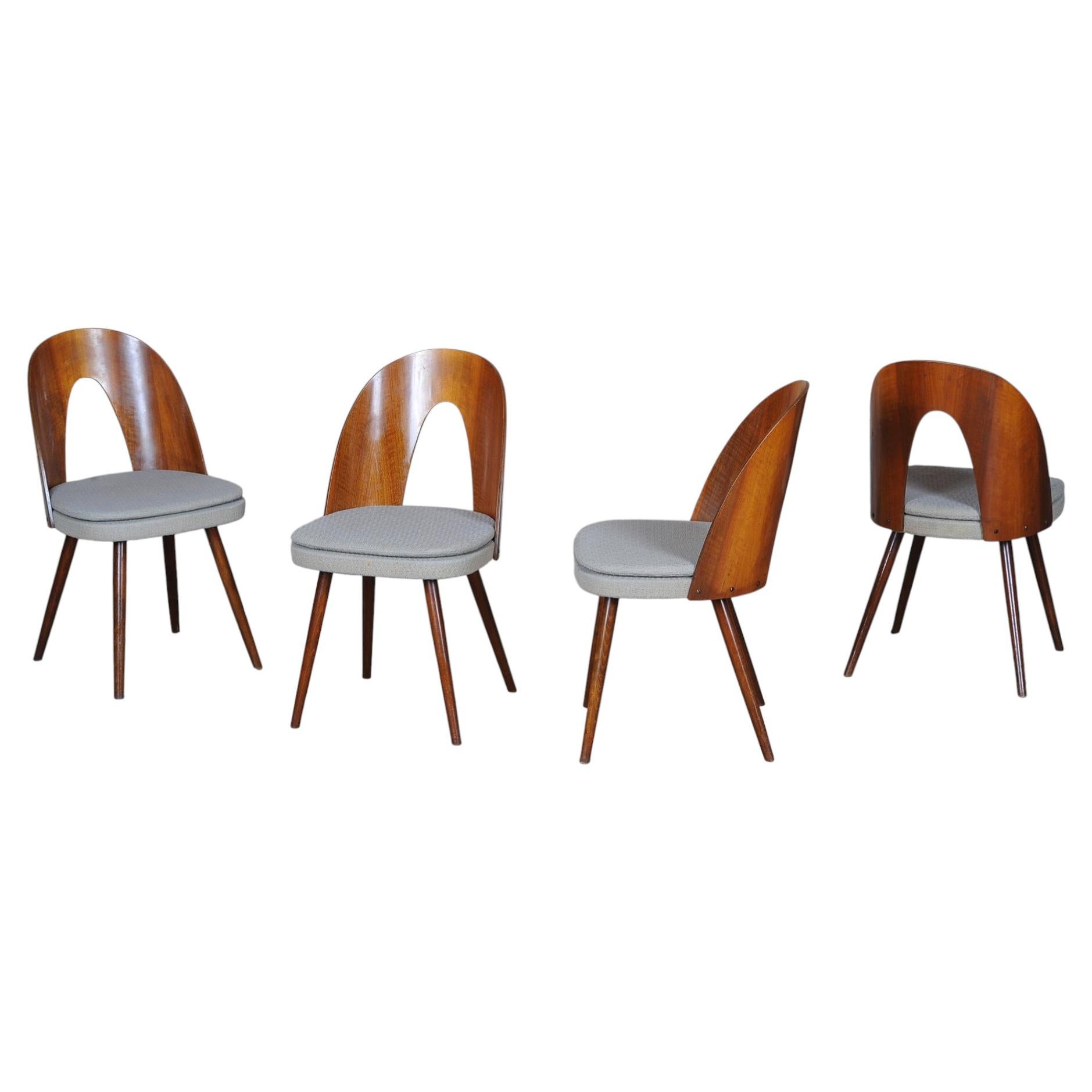 Set of Four Original Mid-Century Chairs, by Antonín Šuman, Walnut, Czech, 1950s