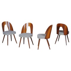 Set of Four Original Mid-Century Chairs, by Antonín Šuman, Walnut, Czech, 1950s