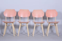 Set of Four Original Mid-Century Chairs, by Jitona Sobeslav, Beech, Czech, 1950s