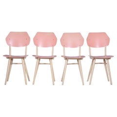 Set of Four Original Mid-Century Chairs, by Jitona Sobeslav, Beech, Czech, 1950s