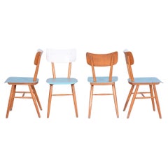 Juego de cuatro sillas de comedor originales de mediados de siglo, Haya, Checoslovaquia, Años 50