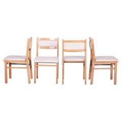 Set of Four Original Mid-Century Dining Chairs, Beech, Czech, 1960s