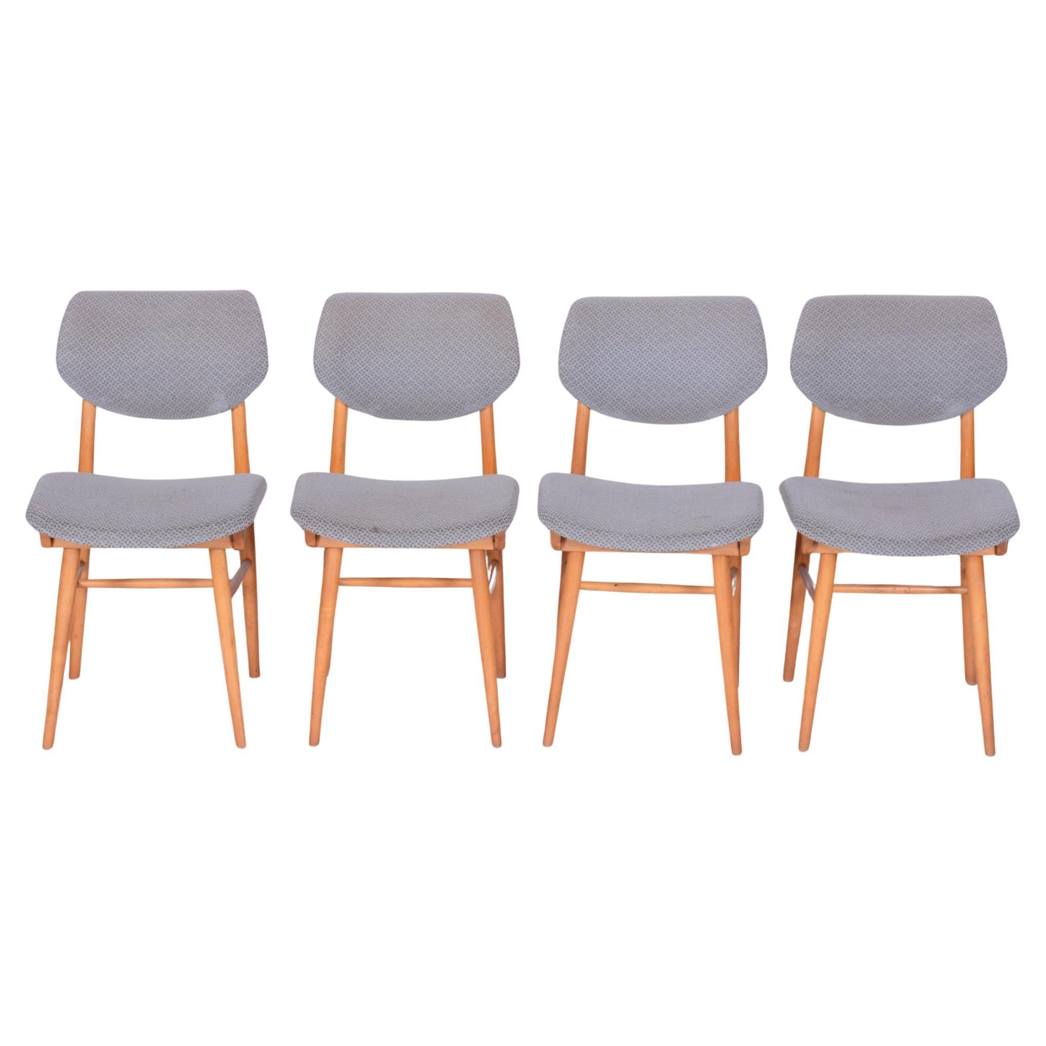 Set of Four Original Mid-Century Modern Chairs, Beech, Czech, 1960s