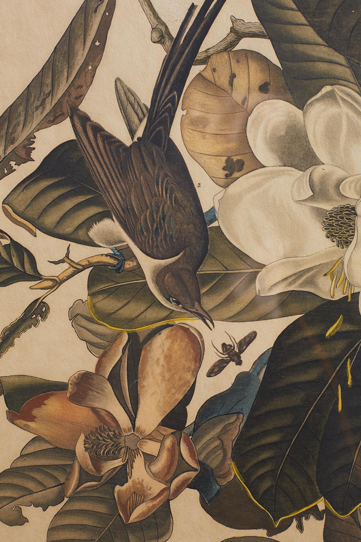 Set of Four Ornithological Prints in the style of Audubon, facsimiles, 1937 9