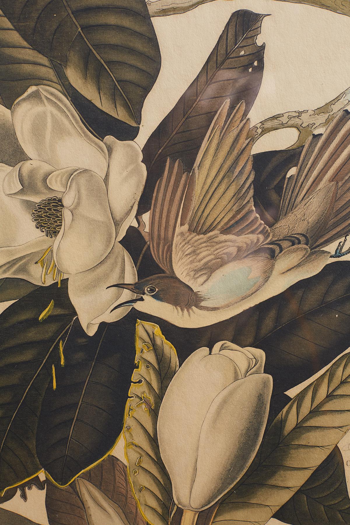 Set of Four Ornithological Prints in the style of Audubon, facsimiles, 1937 11