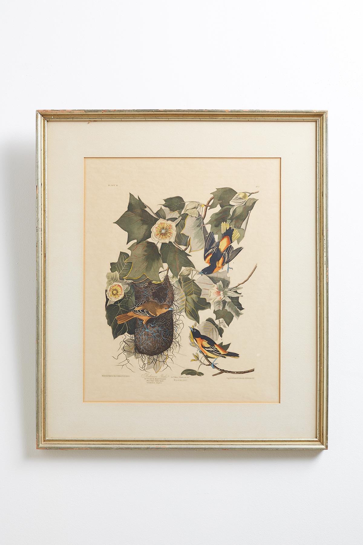 American Set of Four Ornithological Prints in the style of Audubon, facsimiles, 1937