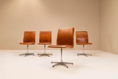 Set of Four Oxford Swivel Chairs in Brown Leather by Arne Jacobsen, design 1965