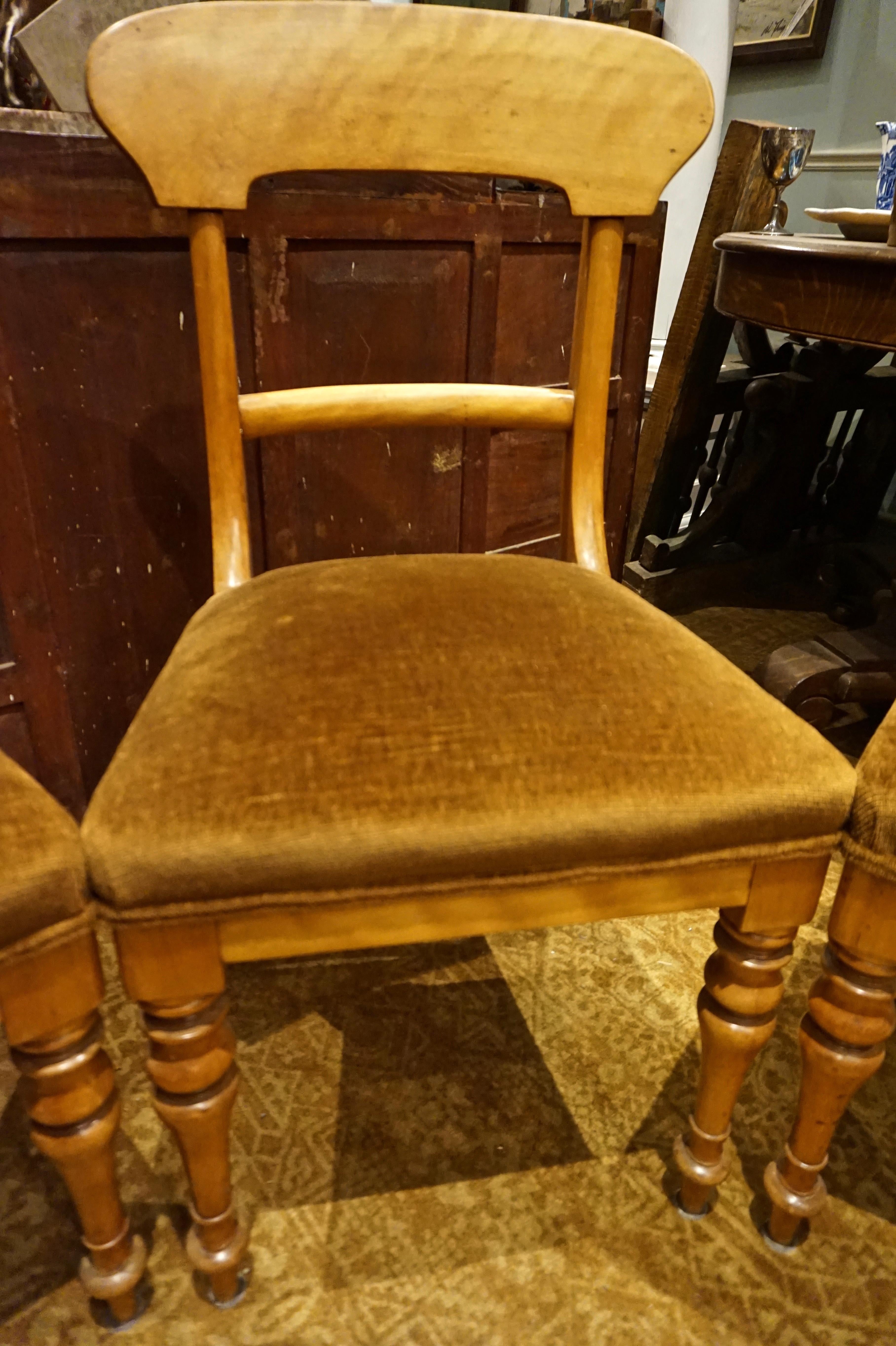 Set of Four Pearwood Chairs England with Horsehair Upholstery For Sale 3