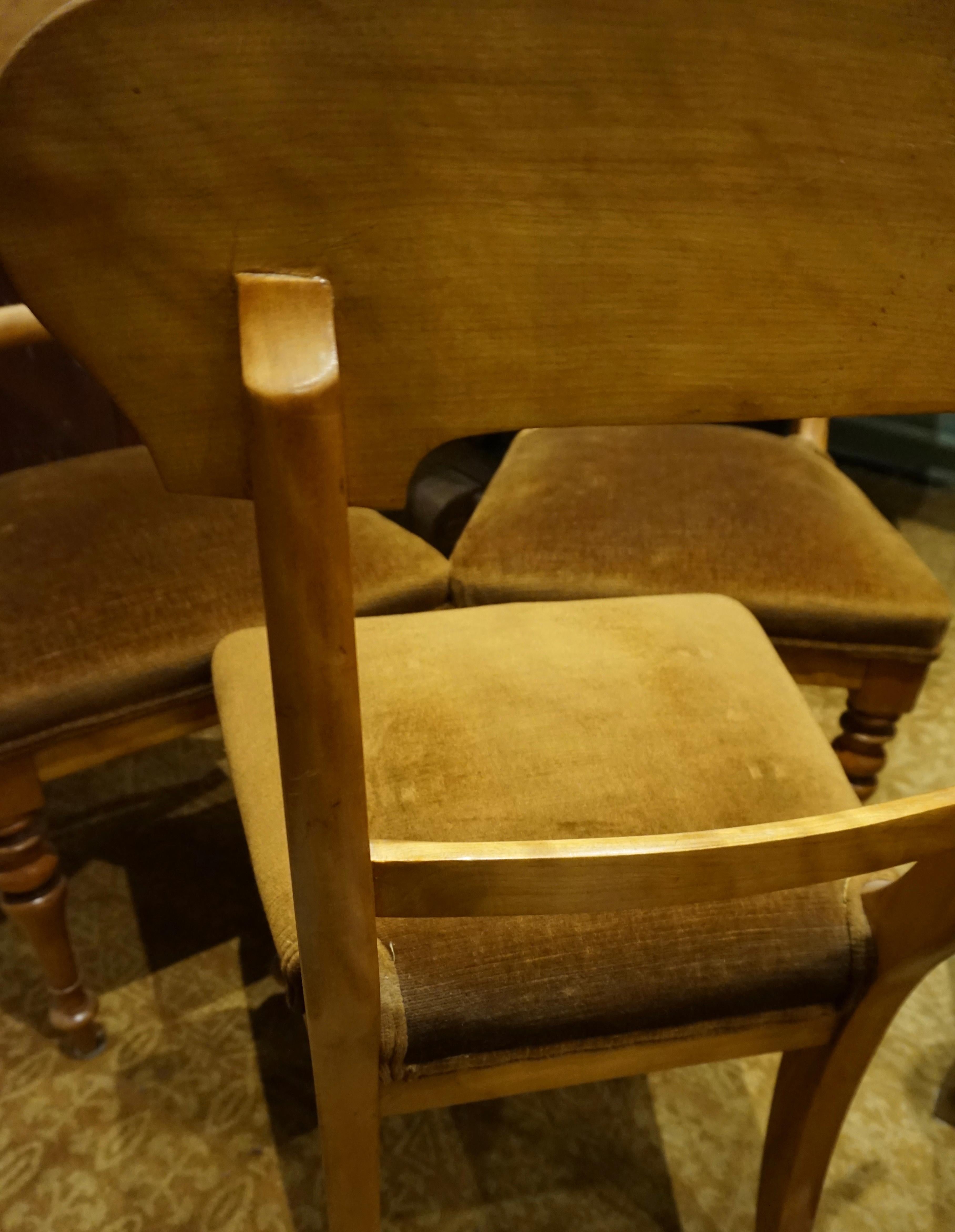 Set of Four Pearwood Chairs England with Horsehair Upholstery For Sale 4