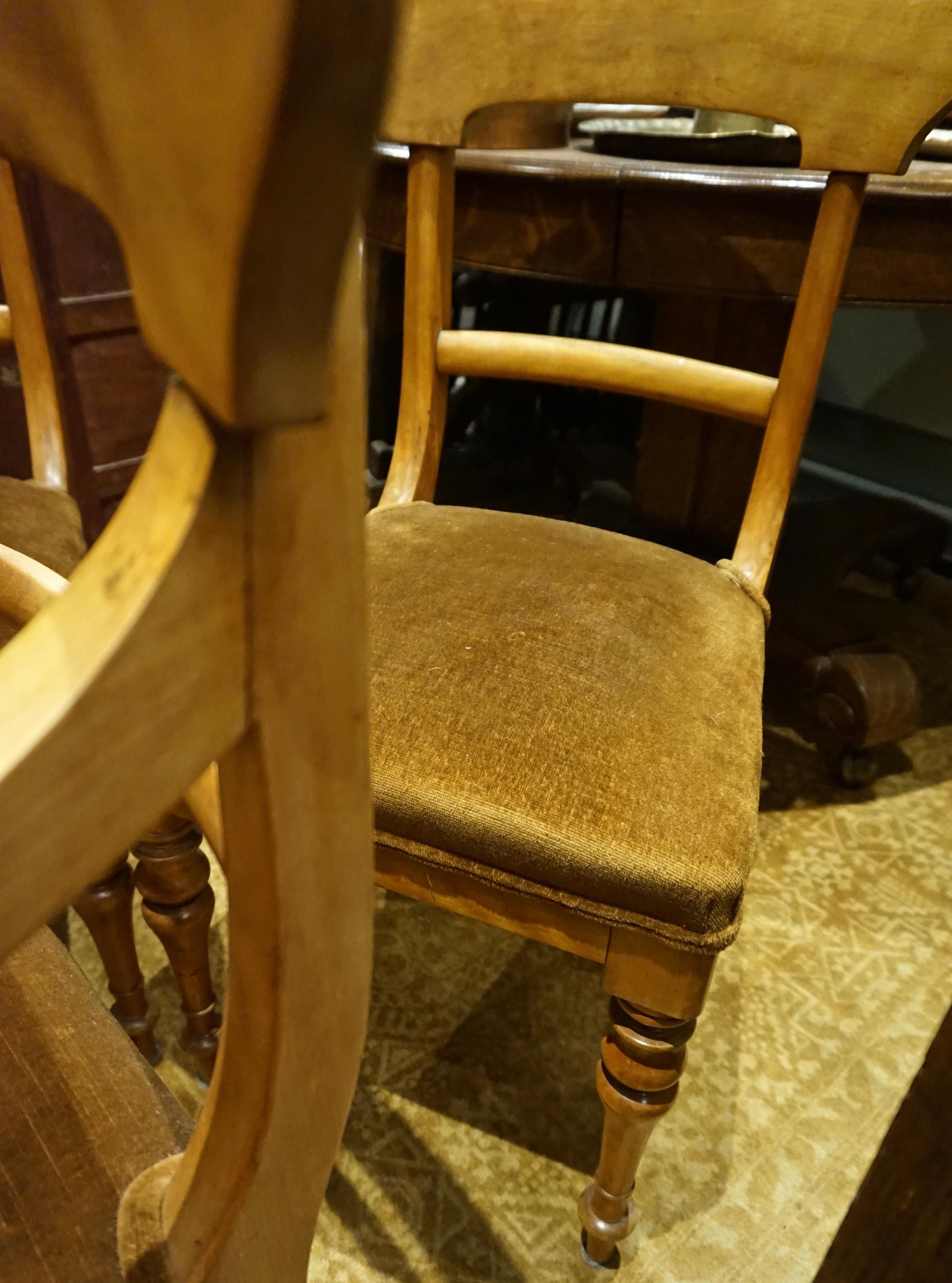 horsehair furniture