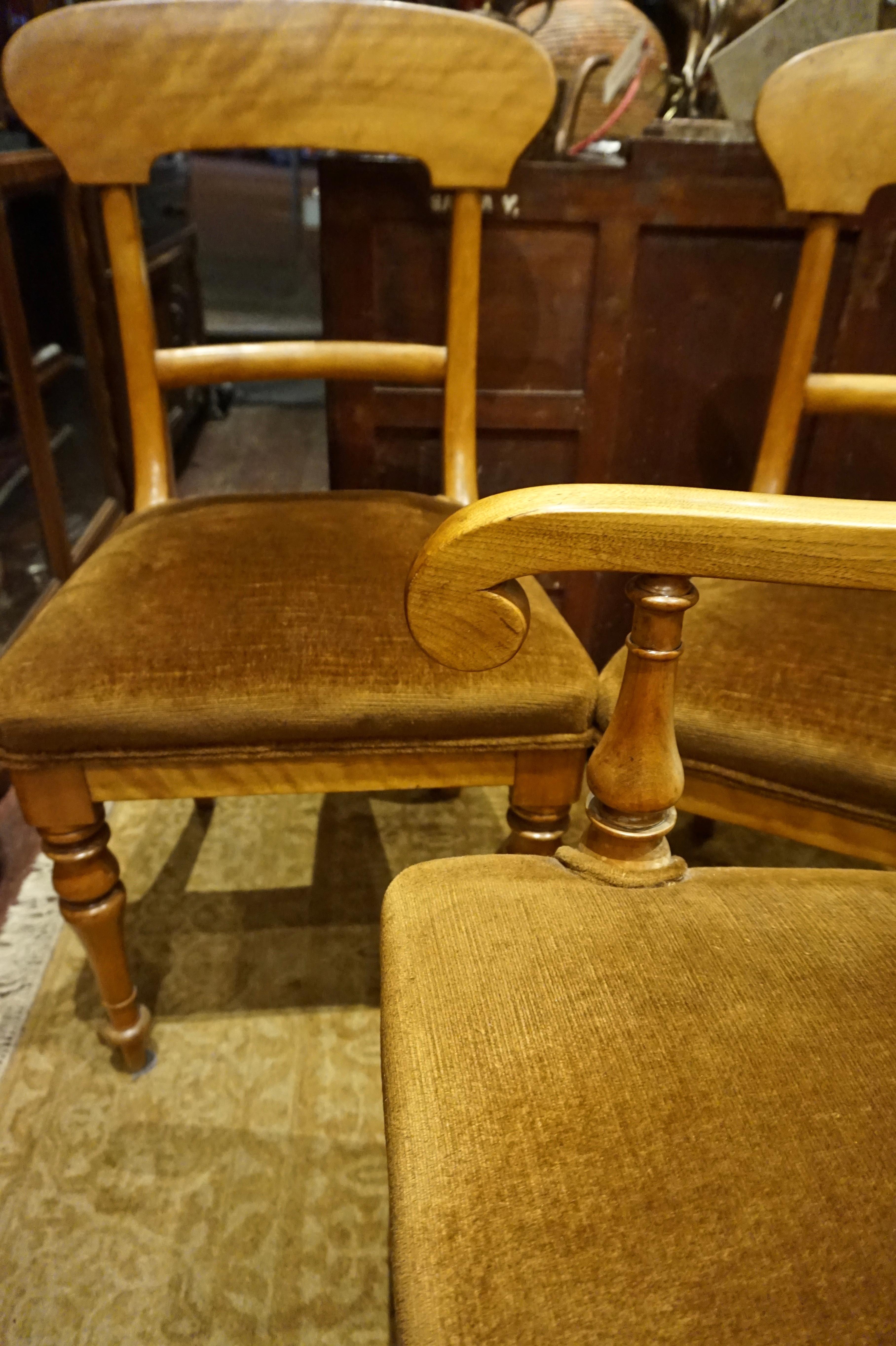 antique horsehair chair